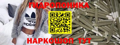 ECSTASY Новодвинск